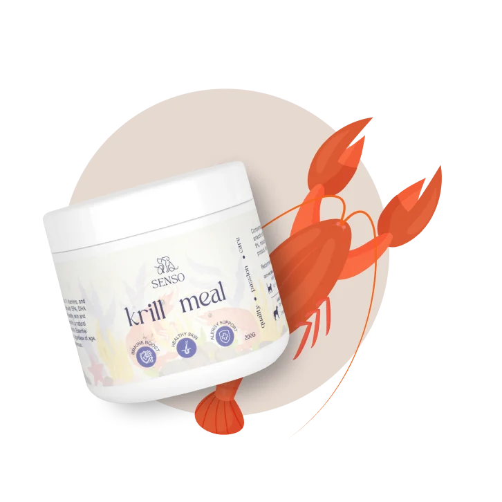 Krill antarctique