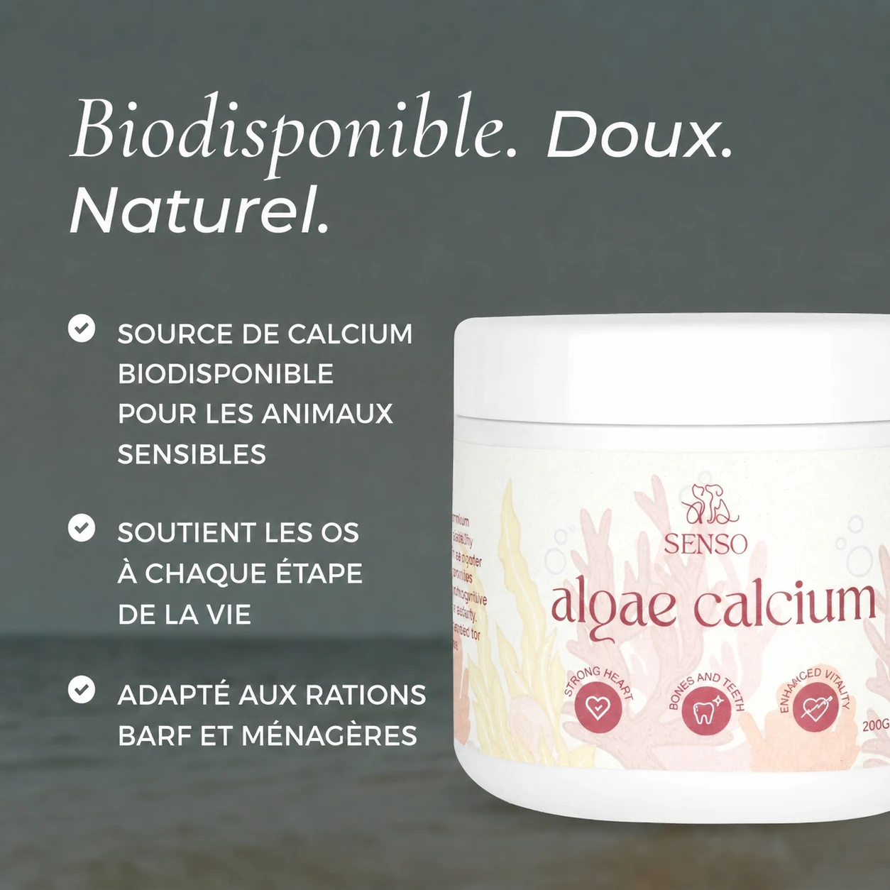 Calcium d’algues — image 4
