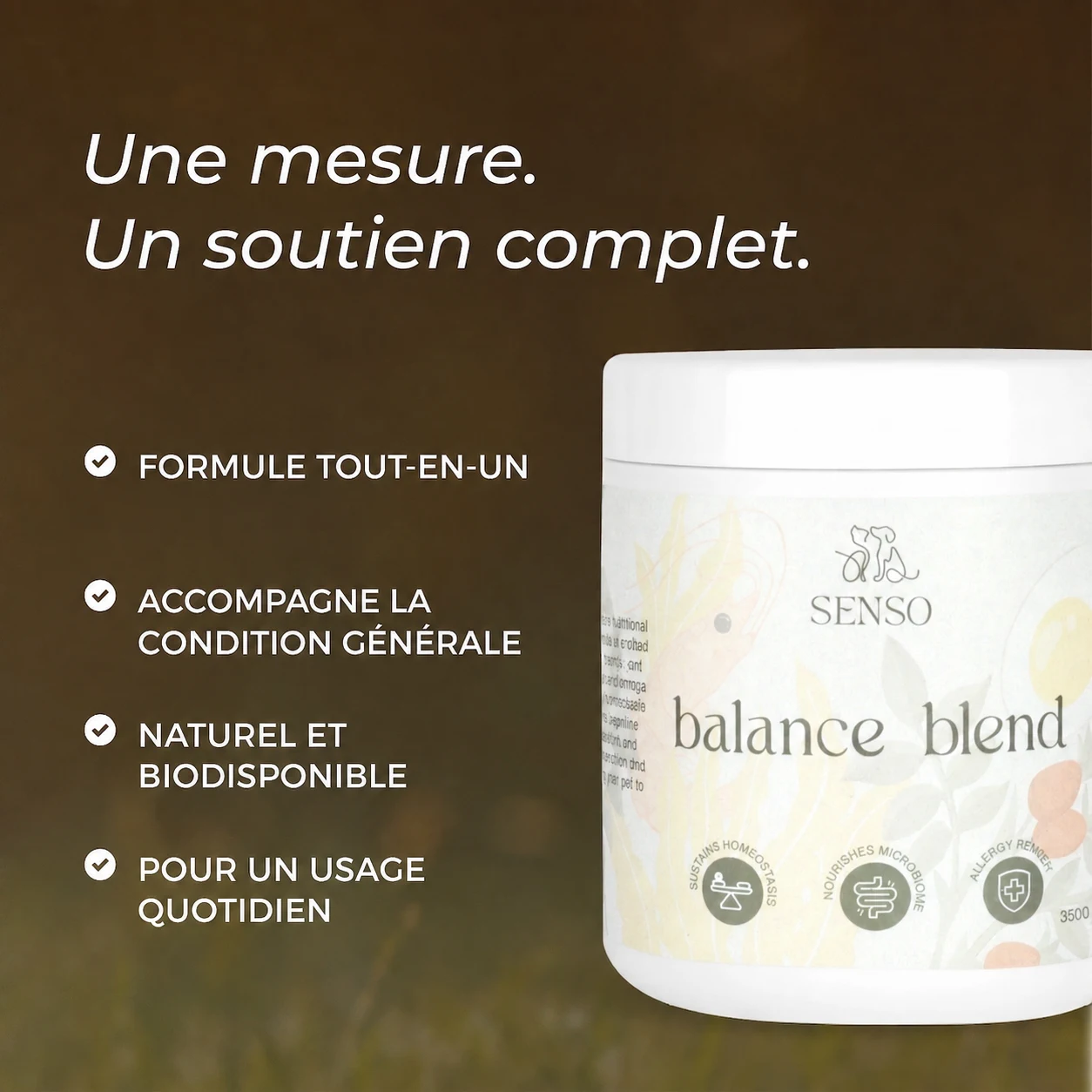 Balance Blend — image 4