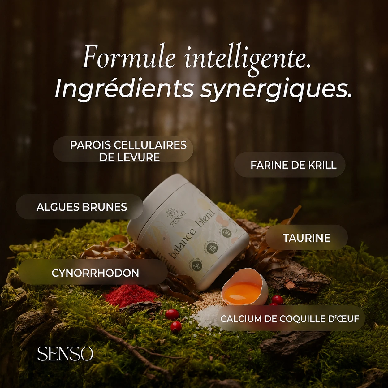 Infographie des ingrédients de Balance Blend
